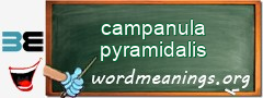 WordMeaning blackboard for campanula pyramidalis